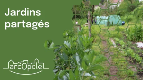 Jardins partagés
